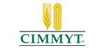 logo cimmyt